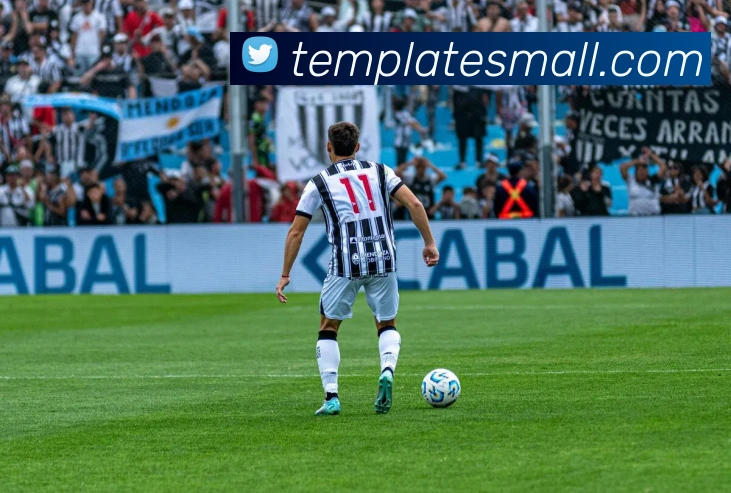 平台展示图